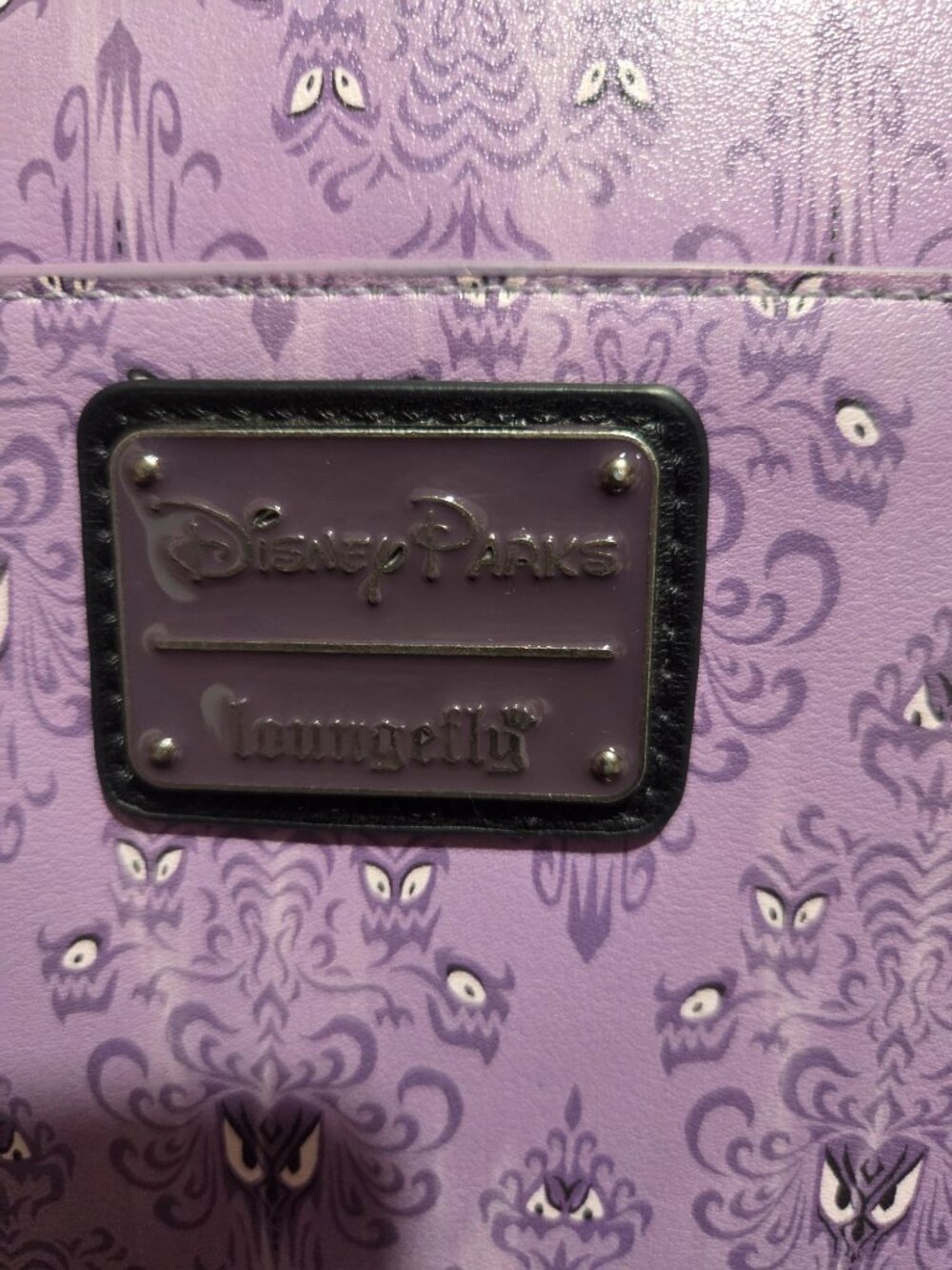 Disney's Haunted Mansion Lounge fly - Picture 9 of 12